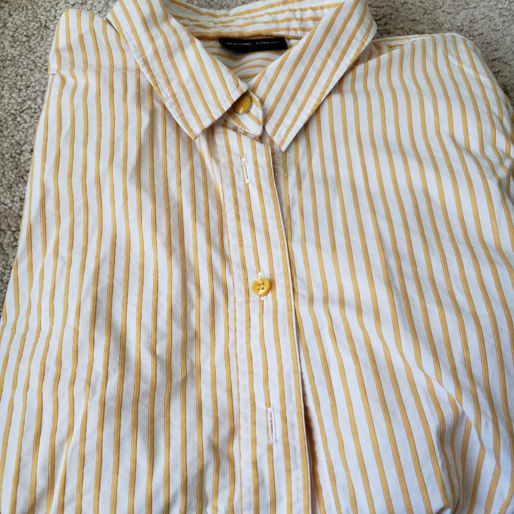 Bundle Charter club shorts size L,New York & company shorts size L ,nautical